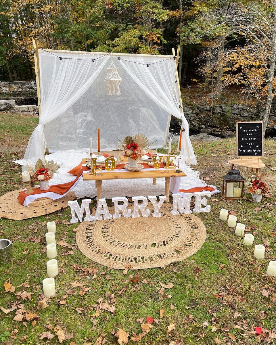 PROPOSAL PICNIC for Pink Tree Picnic in Hartford, CT