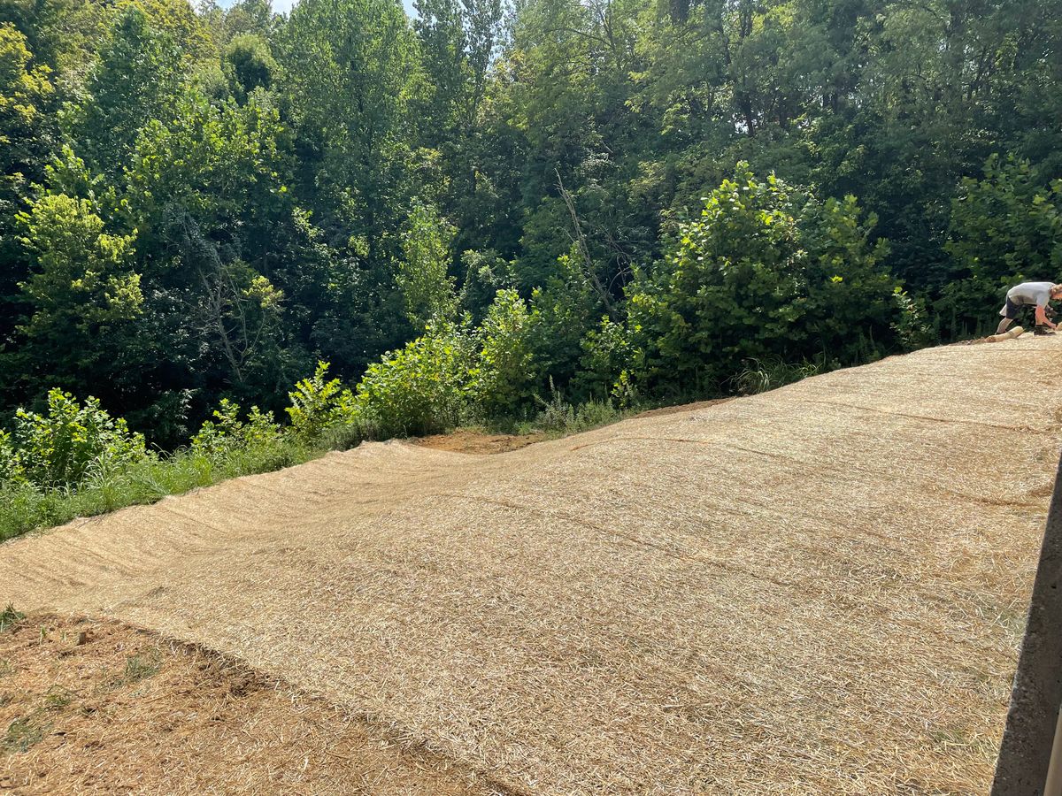 Land Clearing for Procraft Excavation Services in New Richmond, OH