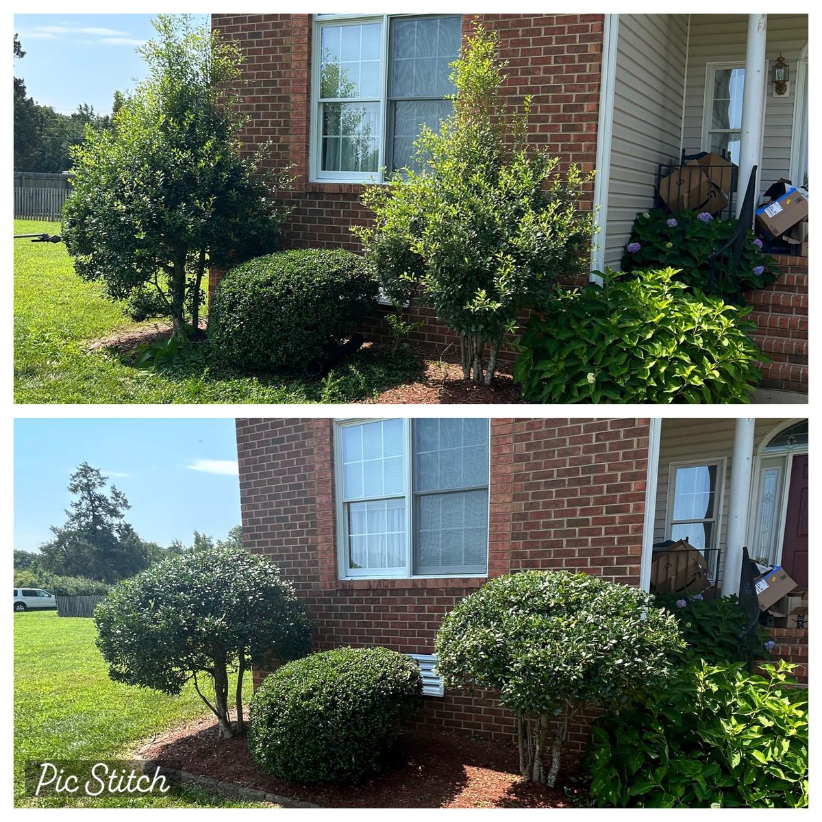 Tree & Shrub Trimming for Absolute Lawn Solutions LLC in Sutherland, VA