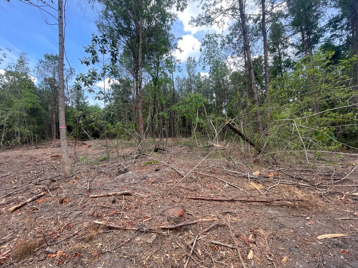Land Clearing & Demolition for Platinum Construction llc in Pearl River, MS