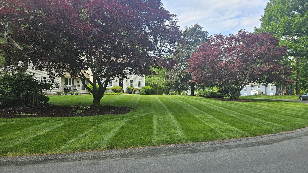 Landscape Maintenance for Pungitore Landscapes, Irrigation & Fertilizer in Hingham, MA