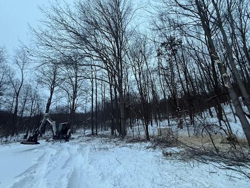 Forestry Mulching & Tree Removal for Palmer Property Services in Middleville, MI
