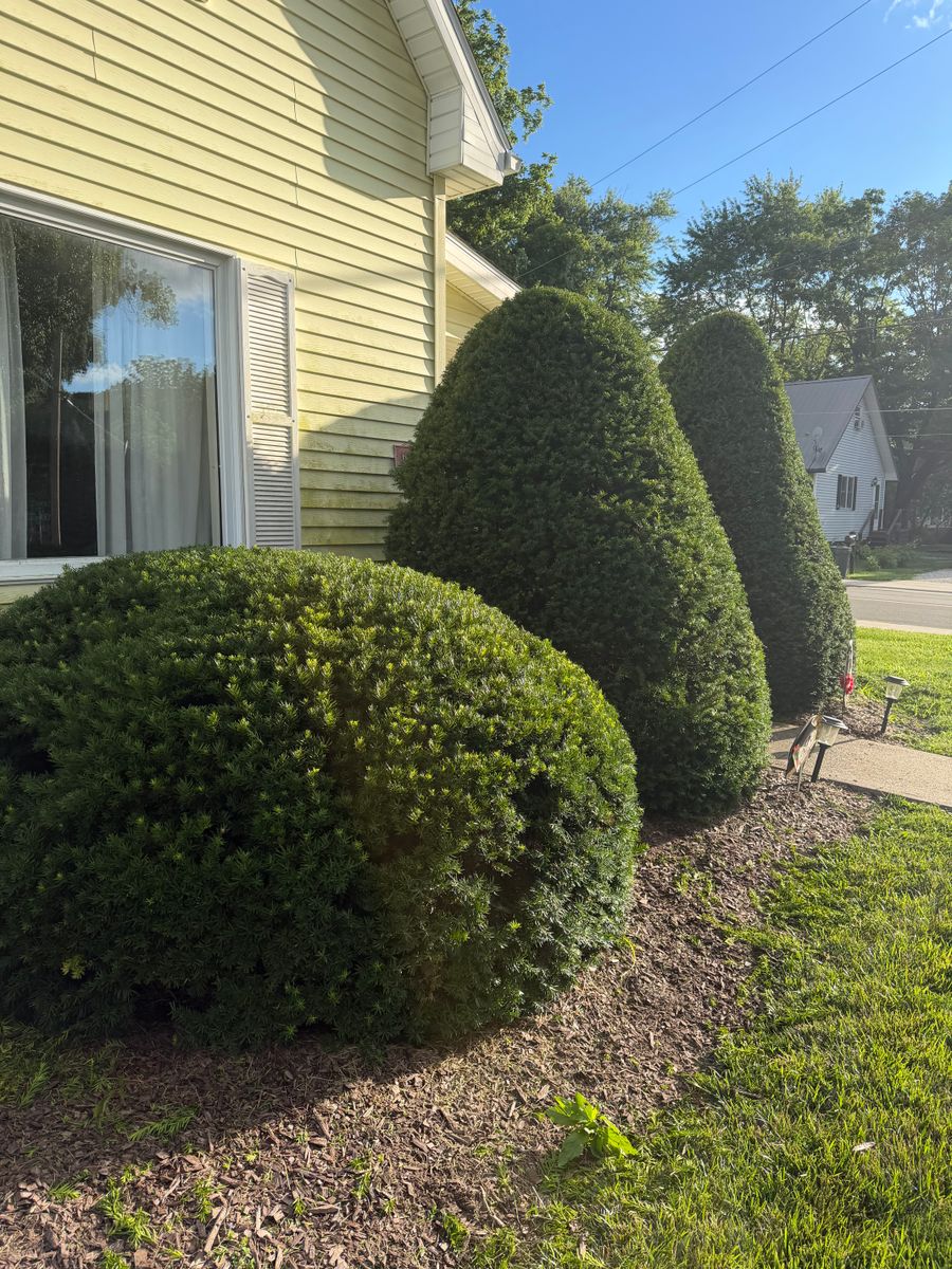 Lawn Maintenance for Yard Barbers in Paoli, IN