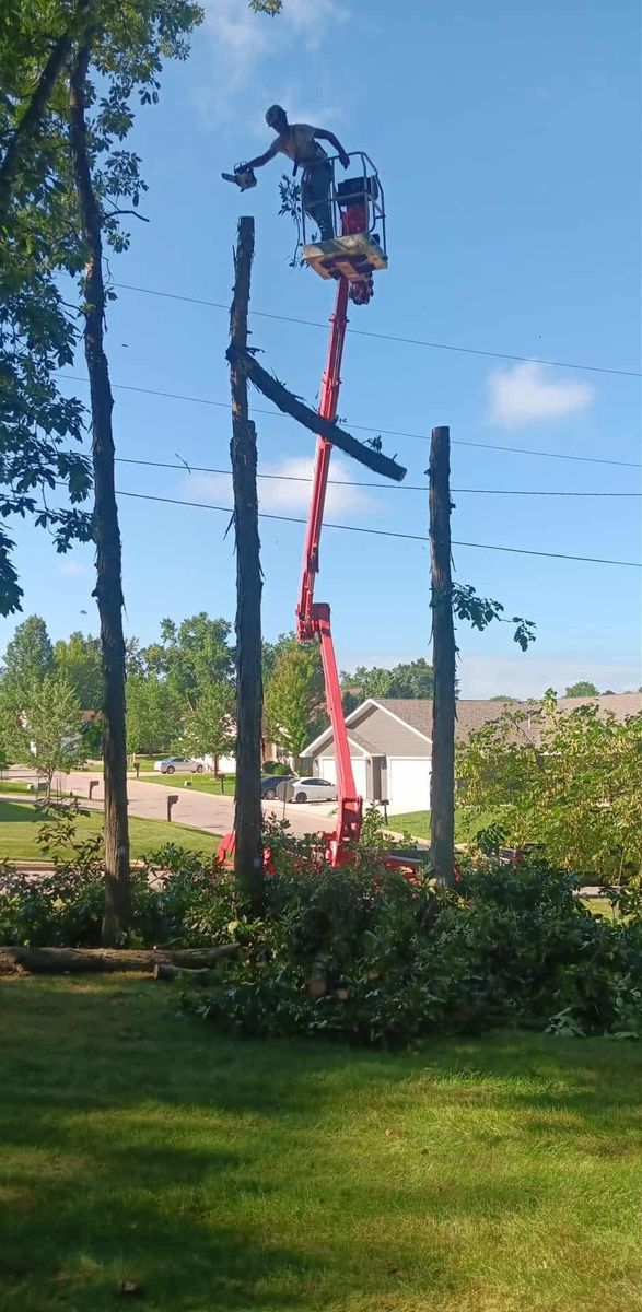 Tree Removal for Lawn Ranger Yard And Tree Service LLC in Ottumwa, IA
