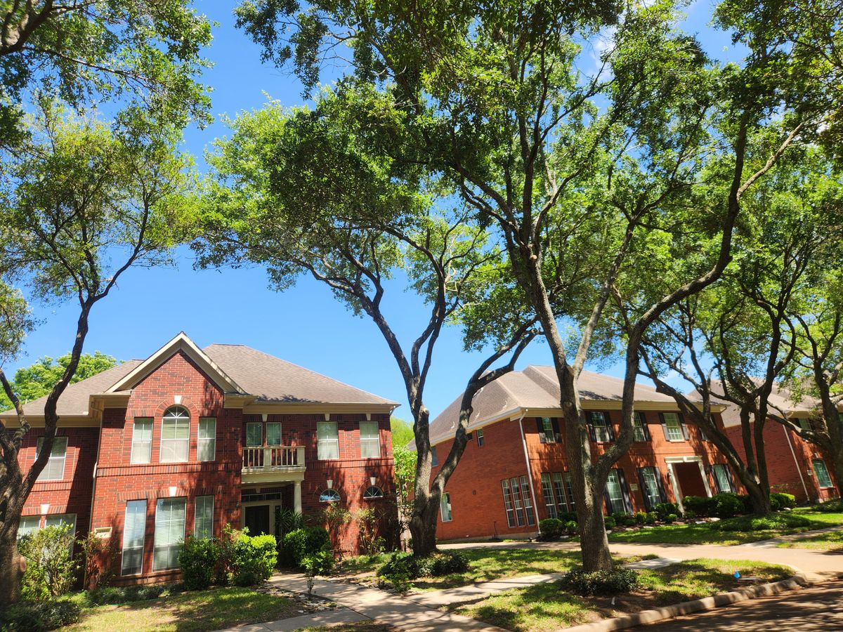 Tree trimming/cutting for Right Choice Landscaping LLC in Houston, TX