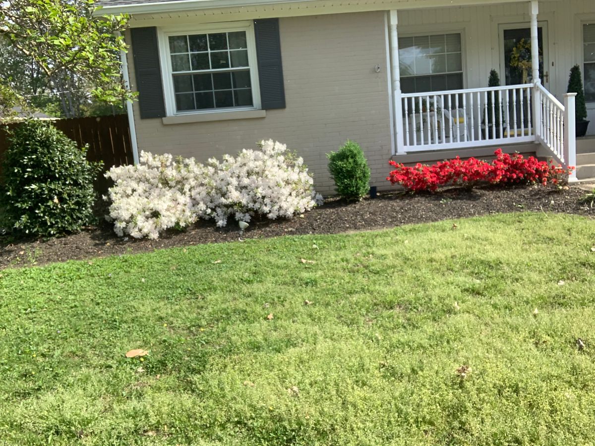Landscape Design for Apex Lawn & Landscaping INC in Dyersburg, TN