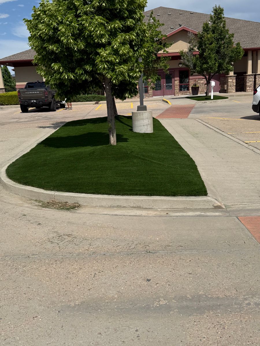 Artificial Turf Installation for Forever Green Turf Pros in Greeley, CO