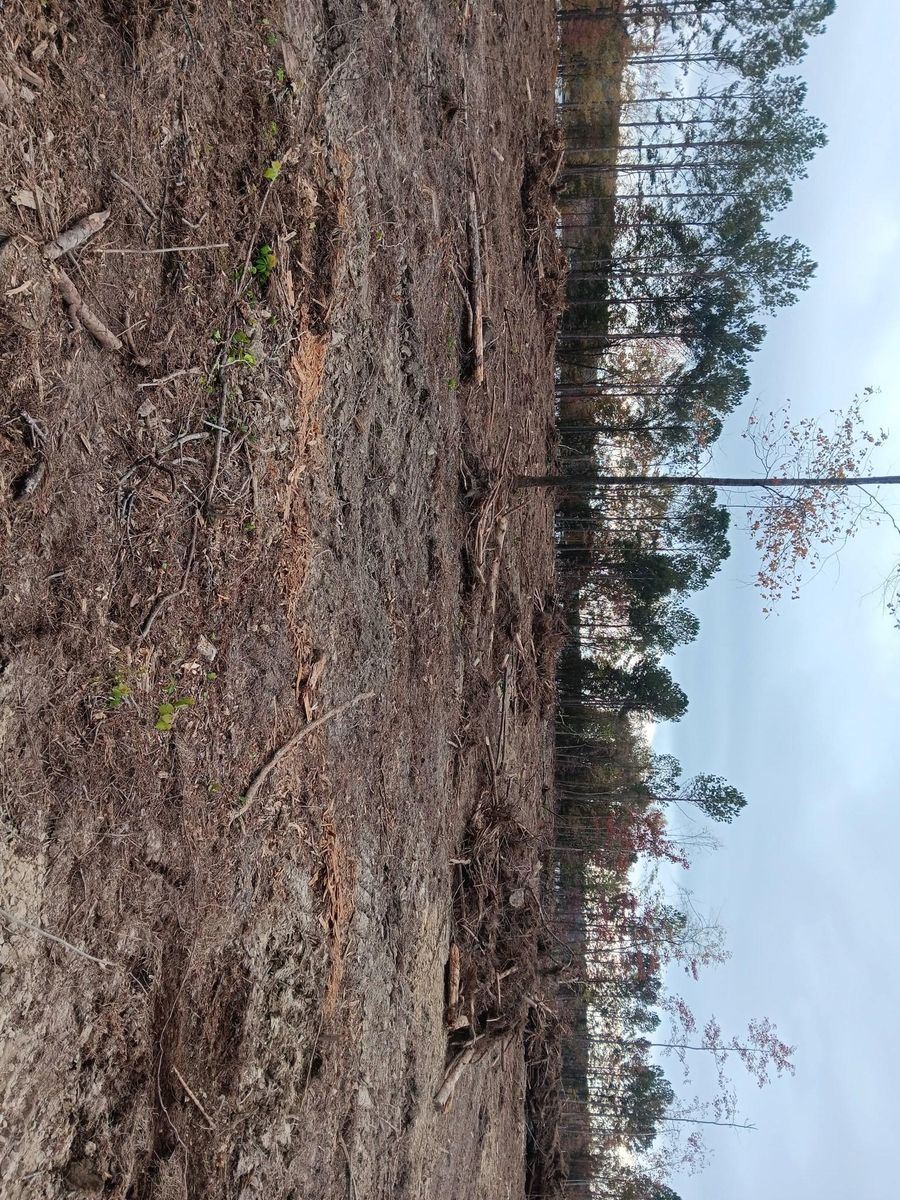 Land clearing and site preparation for Forrest Plumbing and Septic Service LLC in Summerville, GA