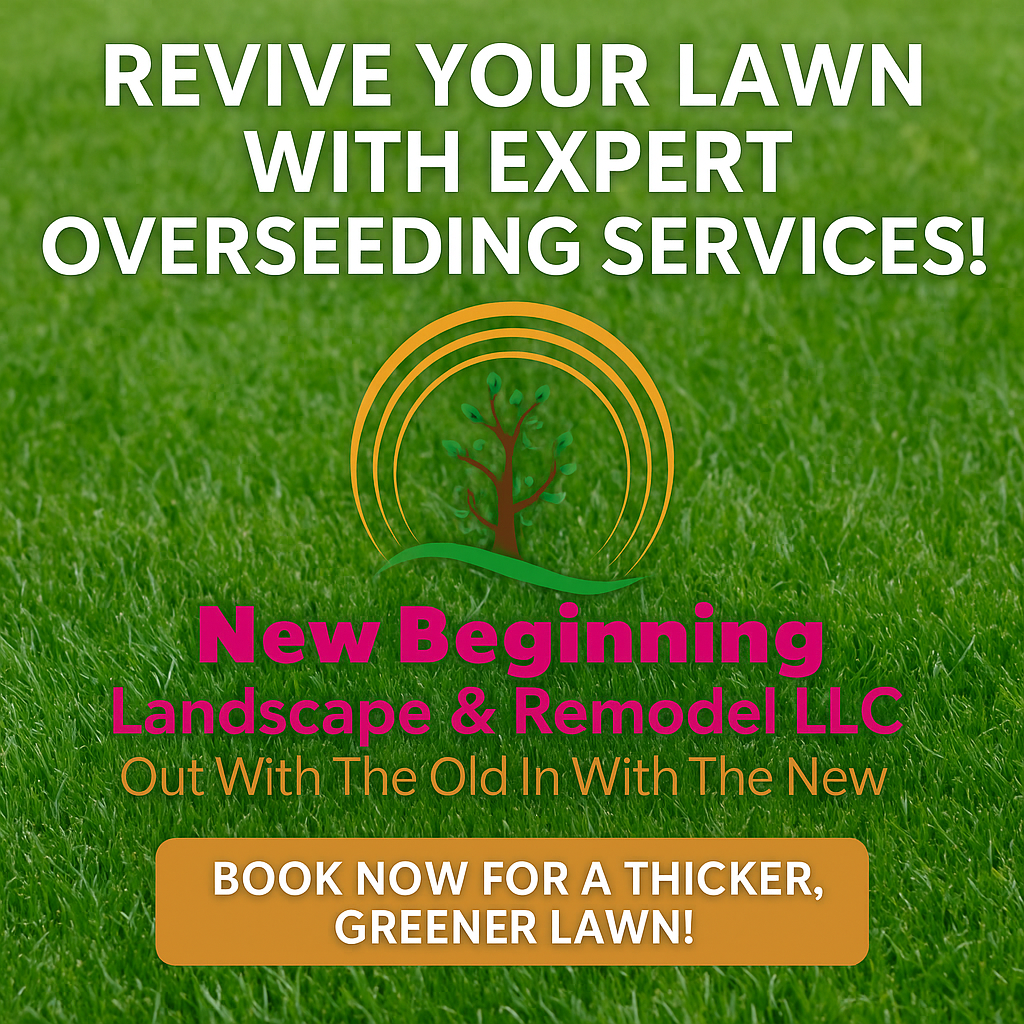 Overseeding Services for New Beginning Landscape & Remodel LLC in Atlanta, GA