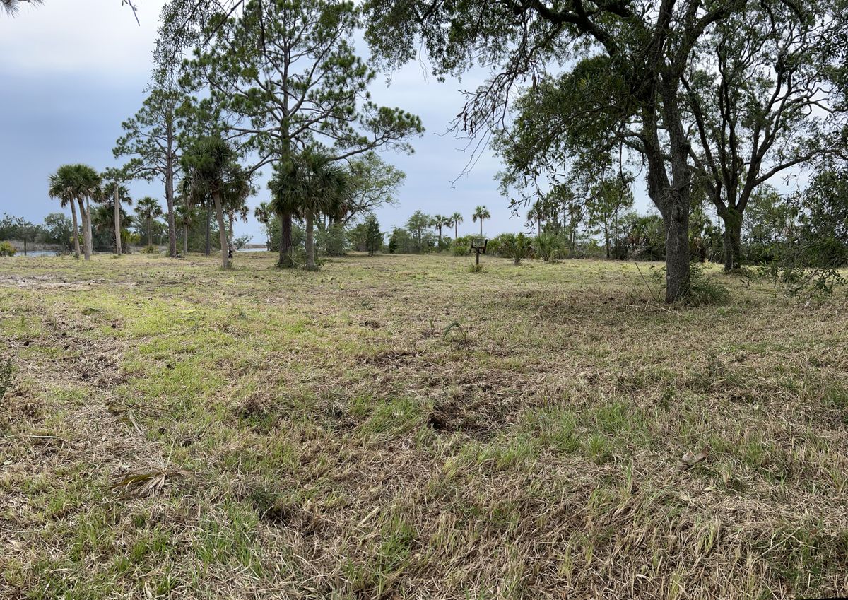 Brush cutting for Roberts Lawn & Landscape in Cross City, FL