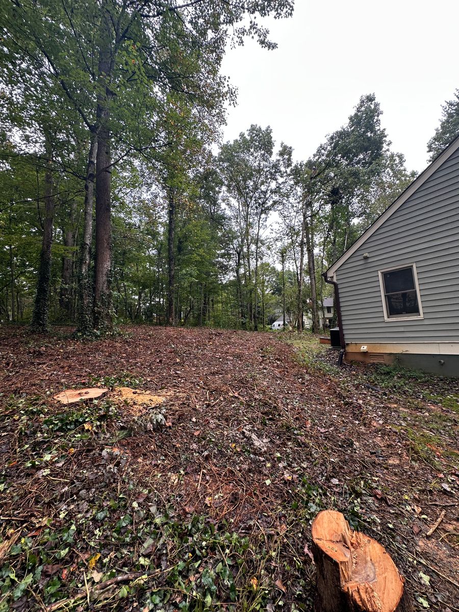 Site Preparation for Stines and Company  in Rutherfordton, NC