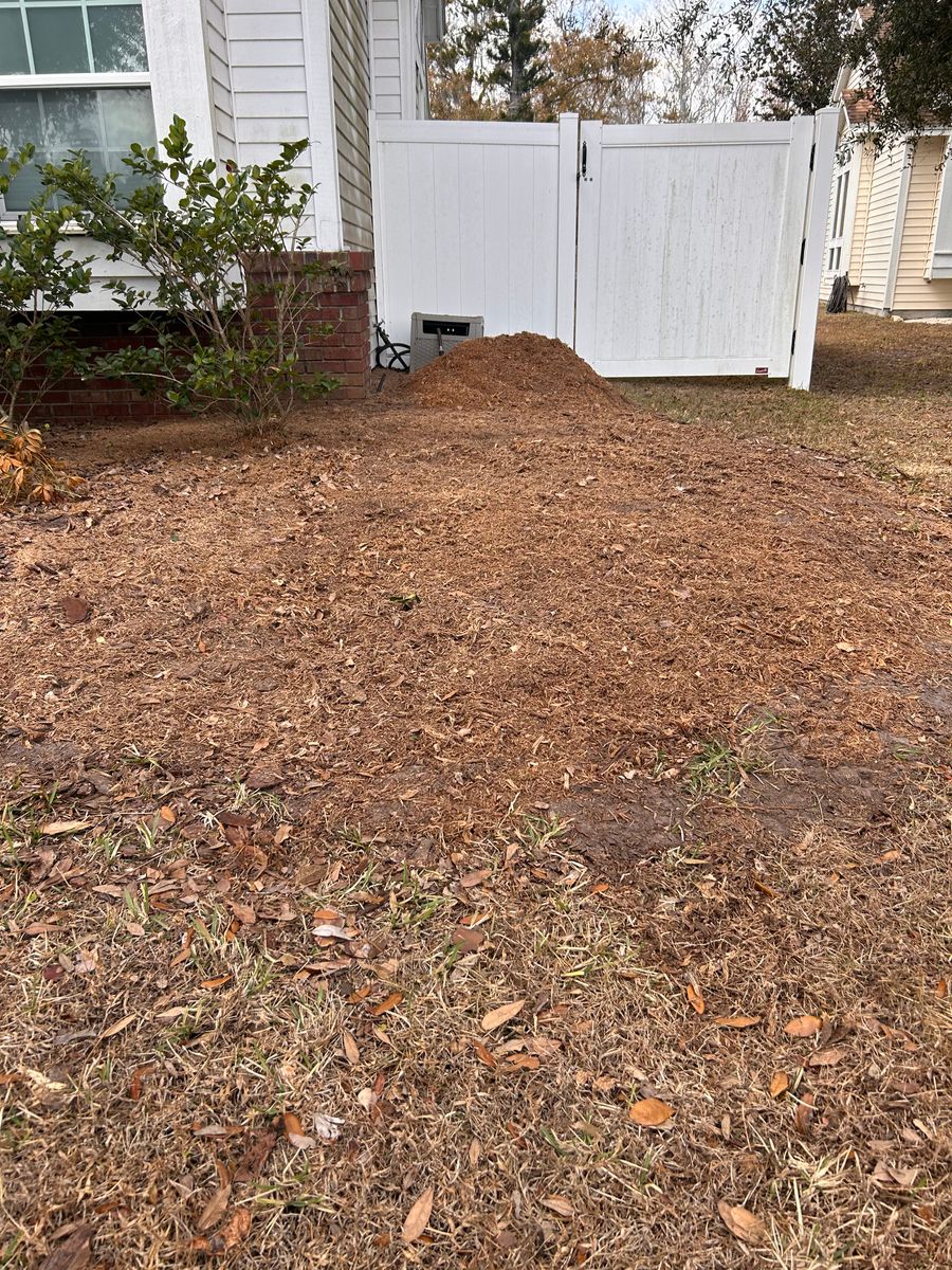 Stump Removal for Greene Acres Stump Grinding in Plant City, FL