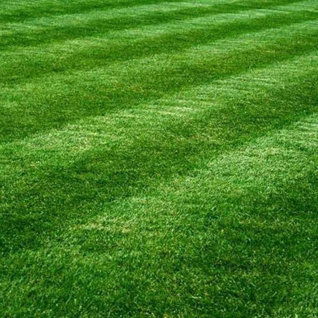 Landscape Design for Magnolia Landscape & Design in Aledo, TX