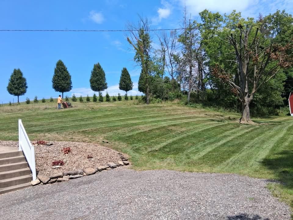 Lawn Maintenance for Cam Yardz in Washington, PA