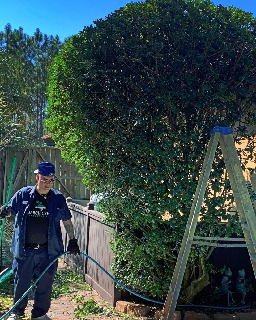 Tree Trimming for Poarch Creek Landscaping in Santa Rosa Beach, FL