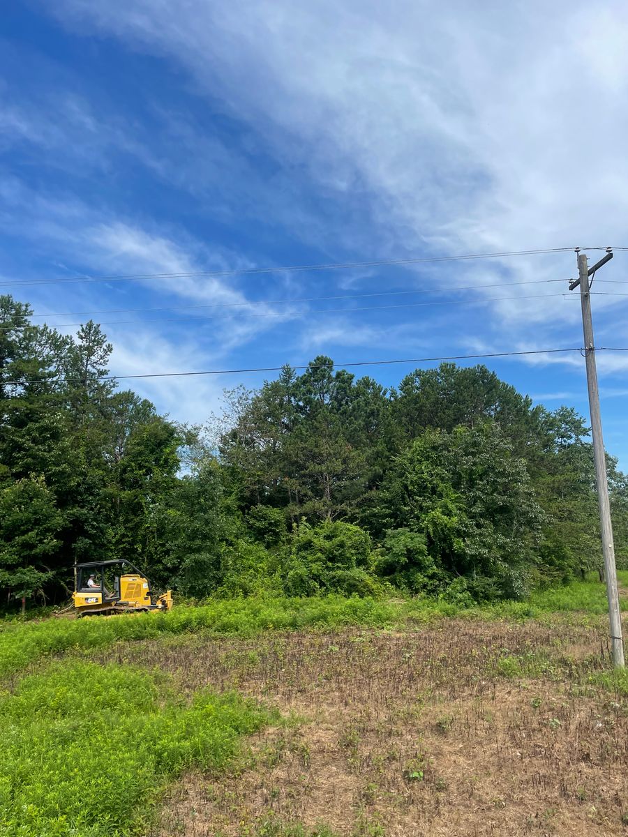 Land Clearing for Collins Constructors in Fyffe, AL