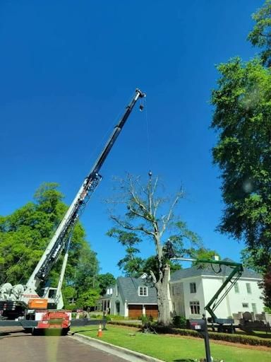 Tree Removal for Trees Unlimited of the CSRA in Augusta, GA