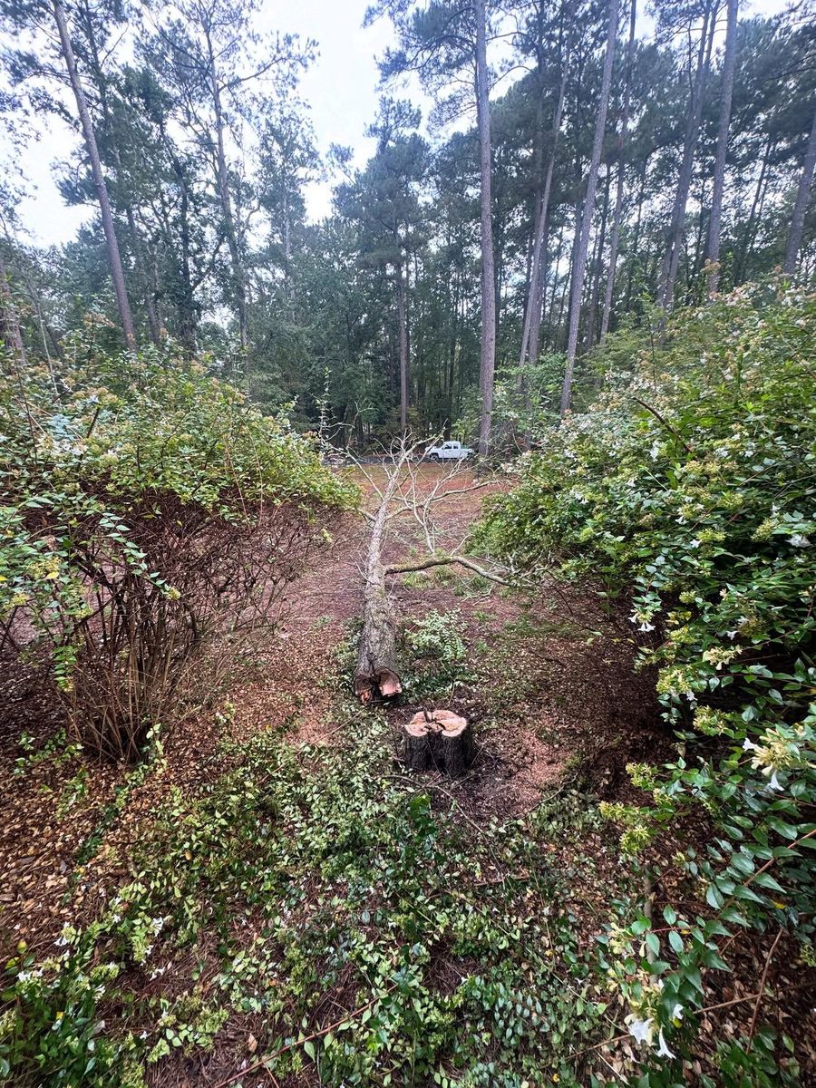 Landscaping Services for JFS Outdoor Services in Aiken, SC