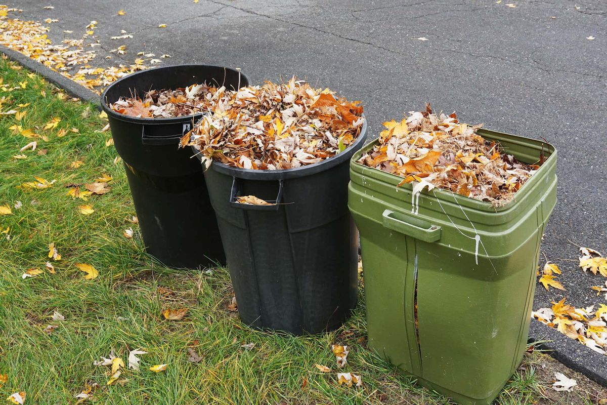 Fall Clean Up for Goat Eater in Forsyth, GA