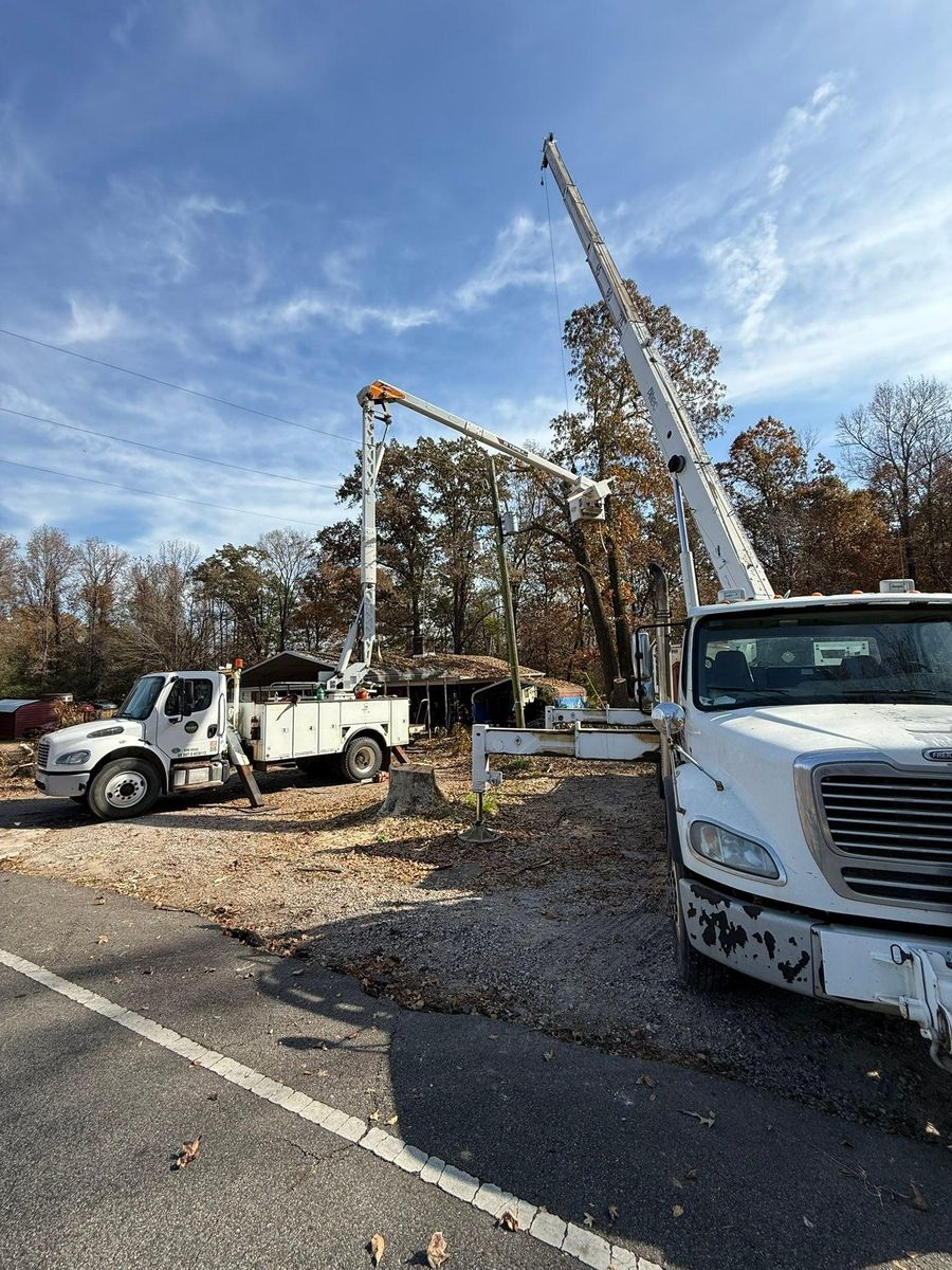 Demolition for Mud Creek Vegetation Management in Russellville, AL