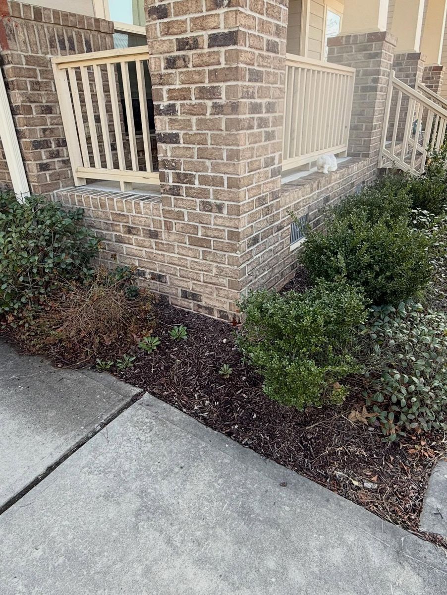 Mulch Installation for Healthy Roots Landscaping in Apex, NC