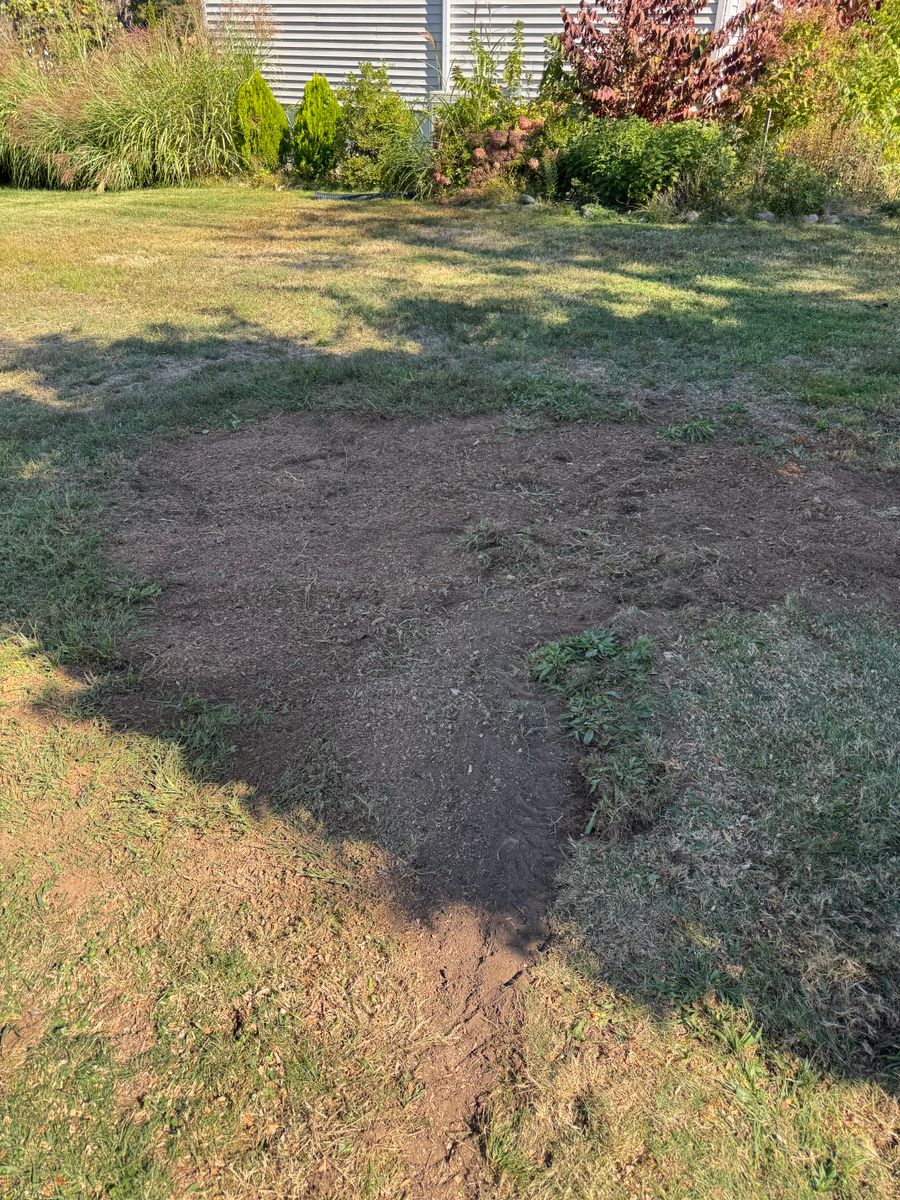 Stump Removal for Jills Stump Grinding and Firewood in Shelton, CT