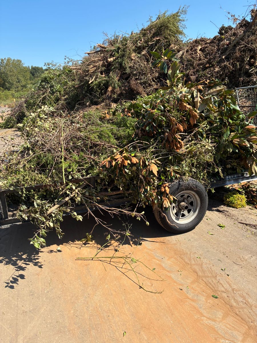 Stump Removal for Oakhurst Landscaping and Tree Service in Charlotte, NC