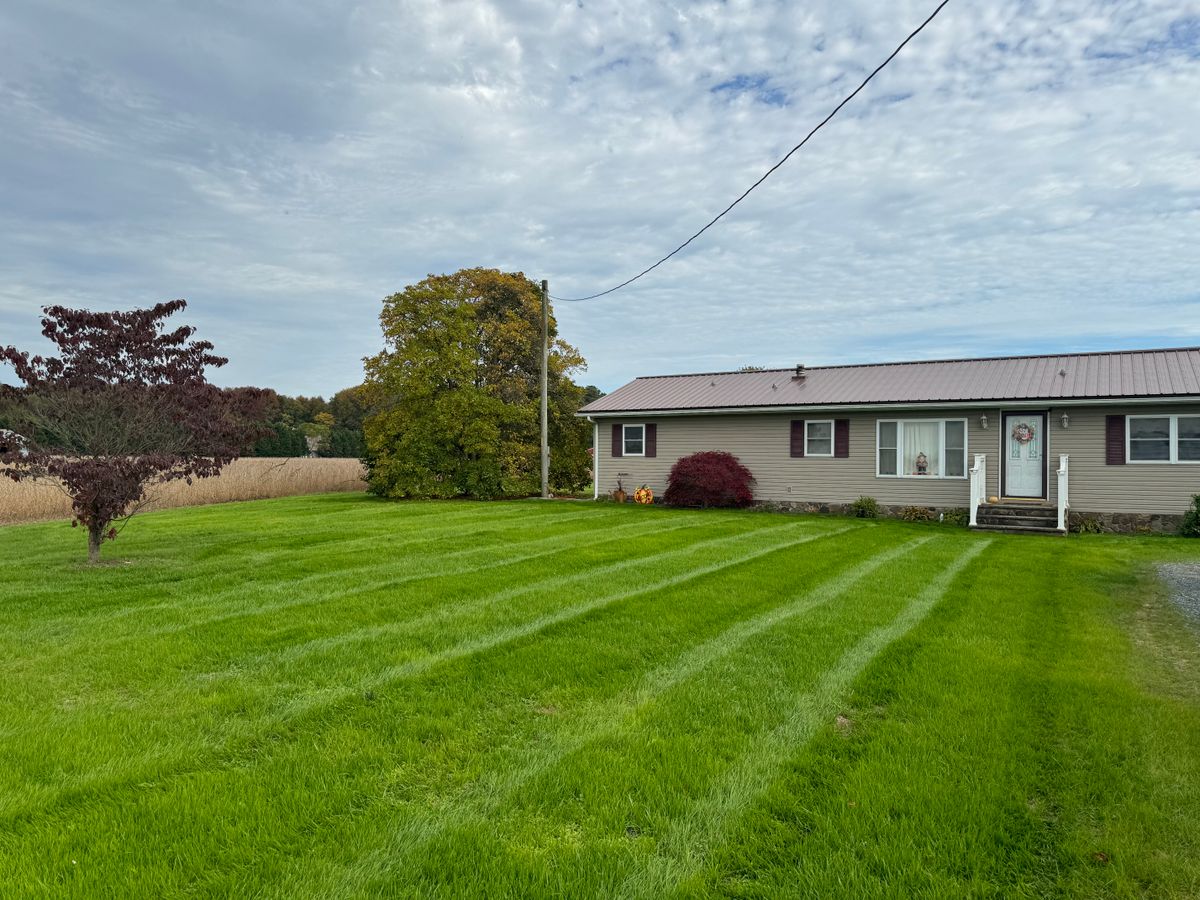 Landscape Design & Installation for Solid Ground Outdoor Living Solutions in Seaford, DE