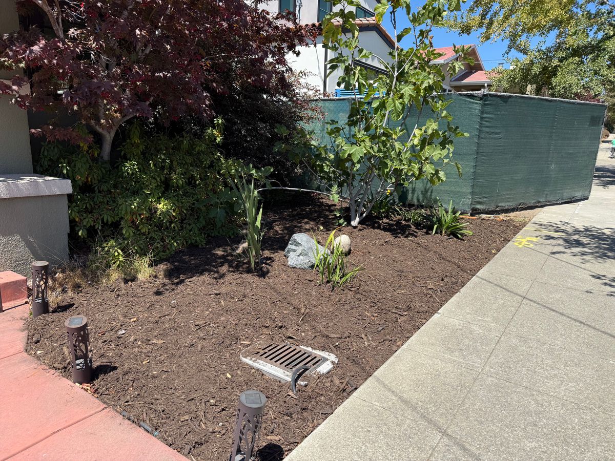 Dirt Hauling for Digging Dudes in Hayward, CA