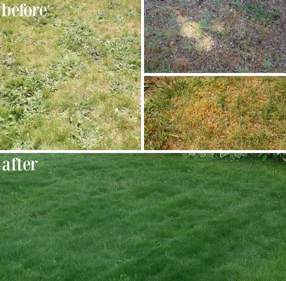 Landscape Design for Magnolia Landscape & Design in Aledo, TX