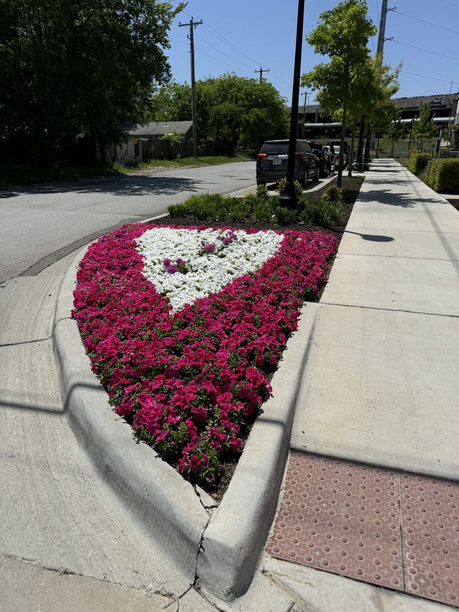 Landscape Install for Guerrero's Landscape in Fort Worth,  TX