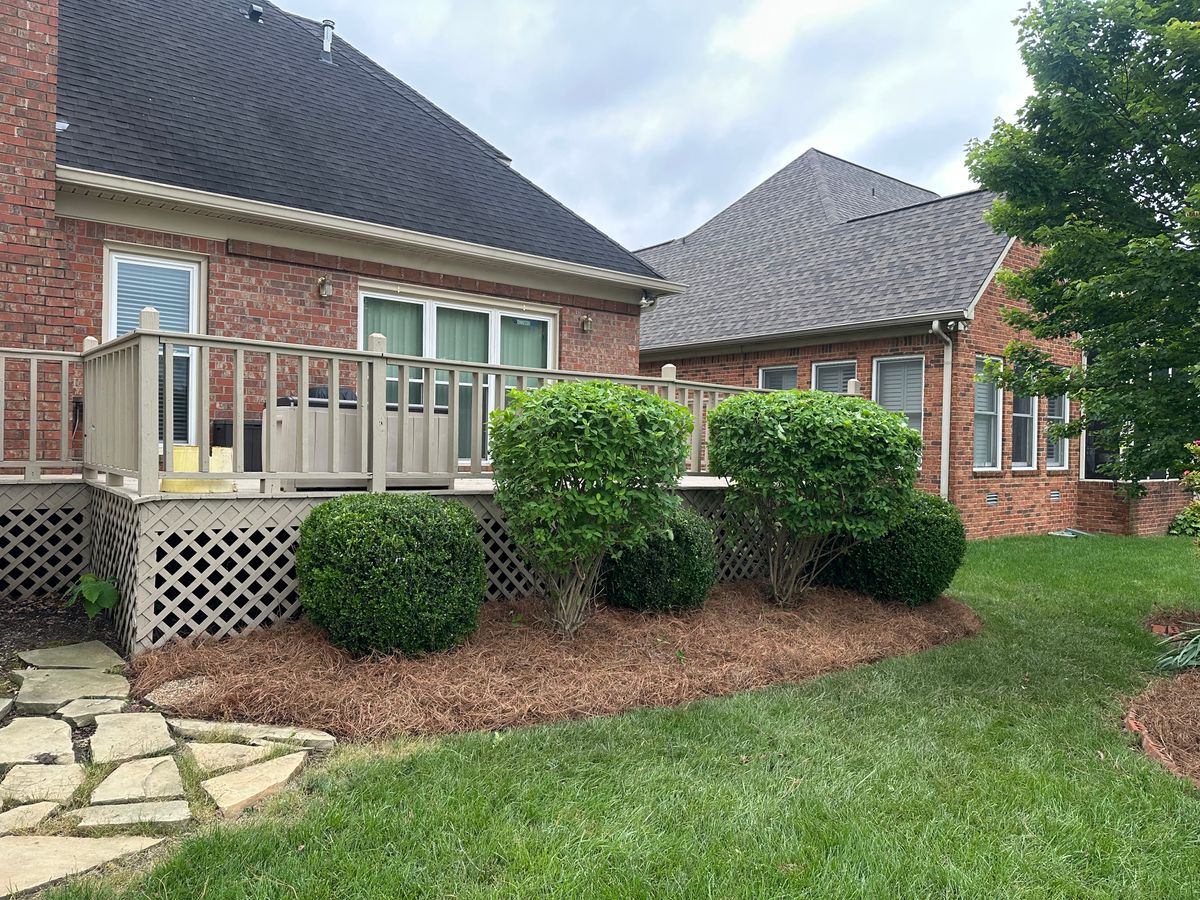 Tree Work for Top Notch Tennessee Outdoor Services in Murfreesboro, TN