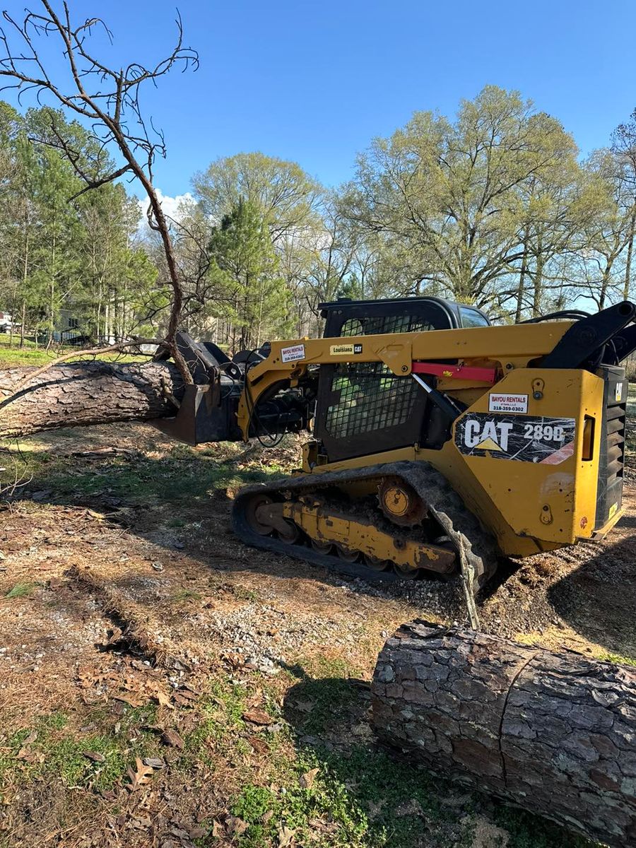 Land Clearing for Morace Tree Service in Natchez,,  MS