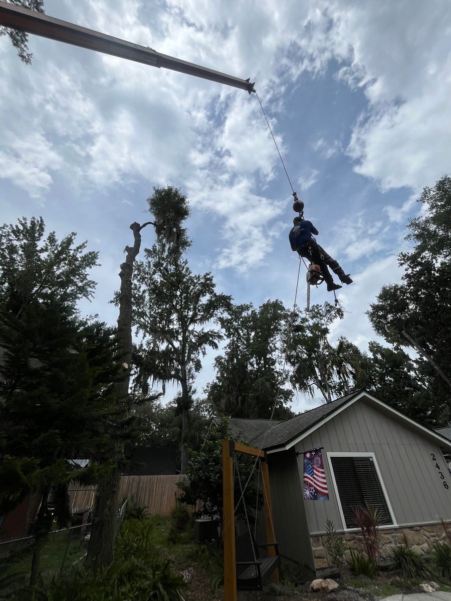 Tree Removal for Top Notch Tree Experts in Orange Park, FL