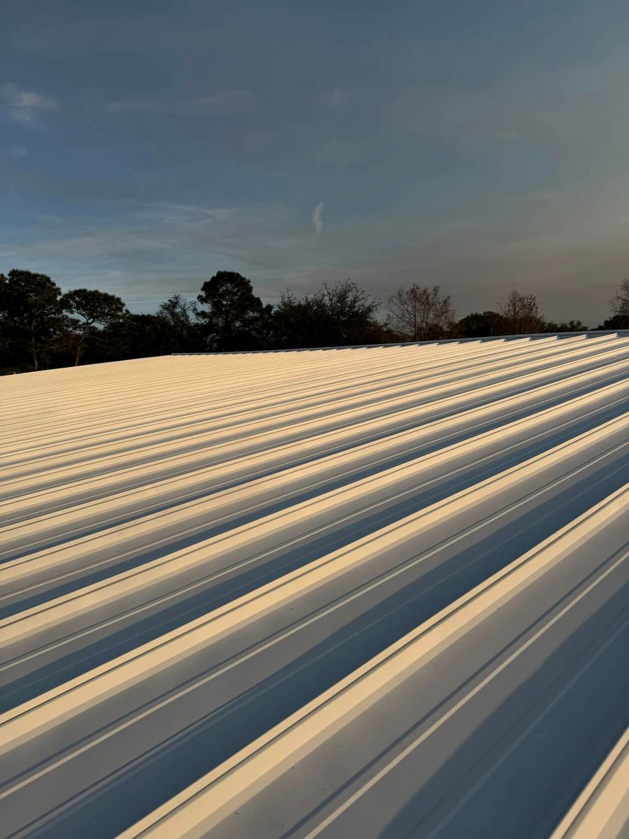 Metal Roofing for Joel's Local Handyman Services in Clermont, FL