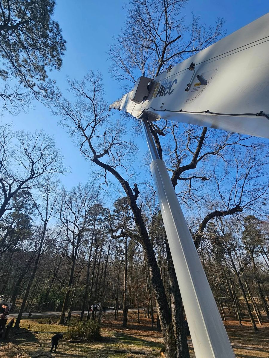 Full Rigging Services  for Elite Crane Services in Augusta, GA