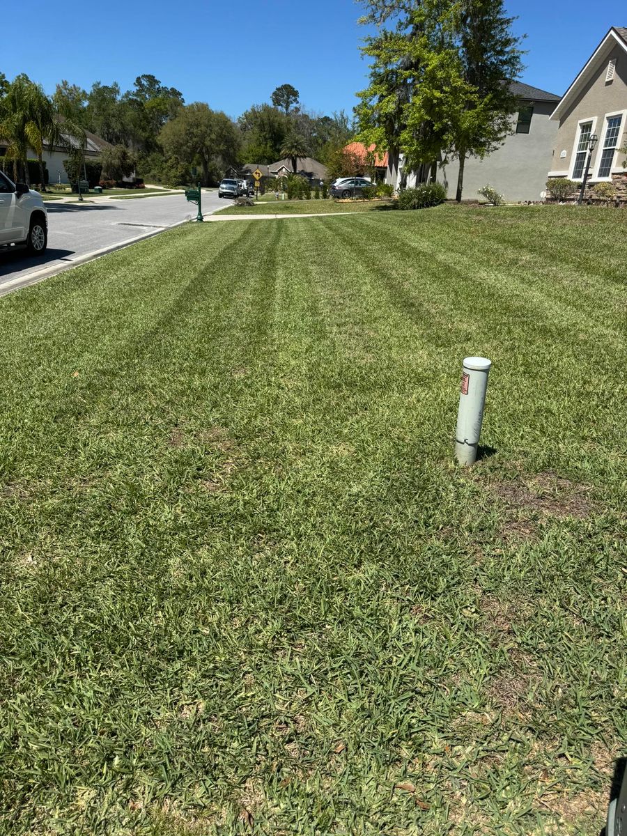 Mowing for Young's Lawn Services LLC in Ocala, FL