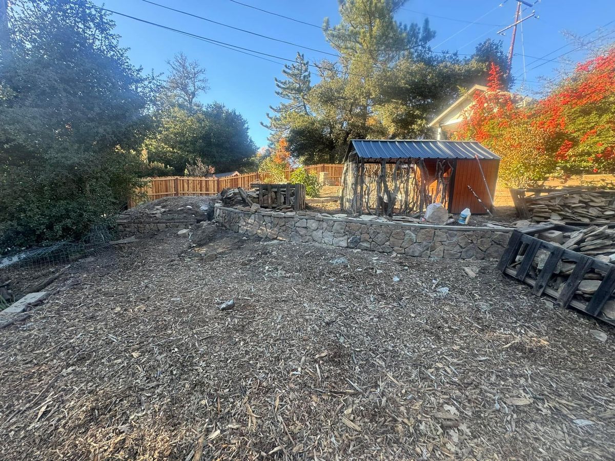 Property Clean Up for The Tree Fairy in Temecula, CA