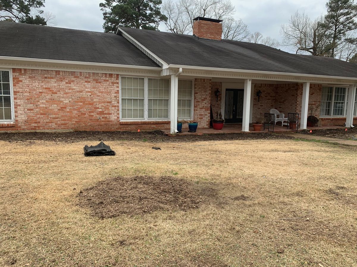 Stump Removal for Ray's Stump Grinding in Texarkana,,  TX