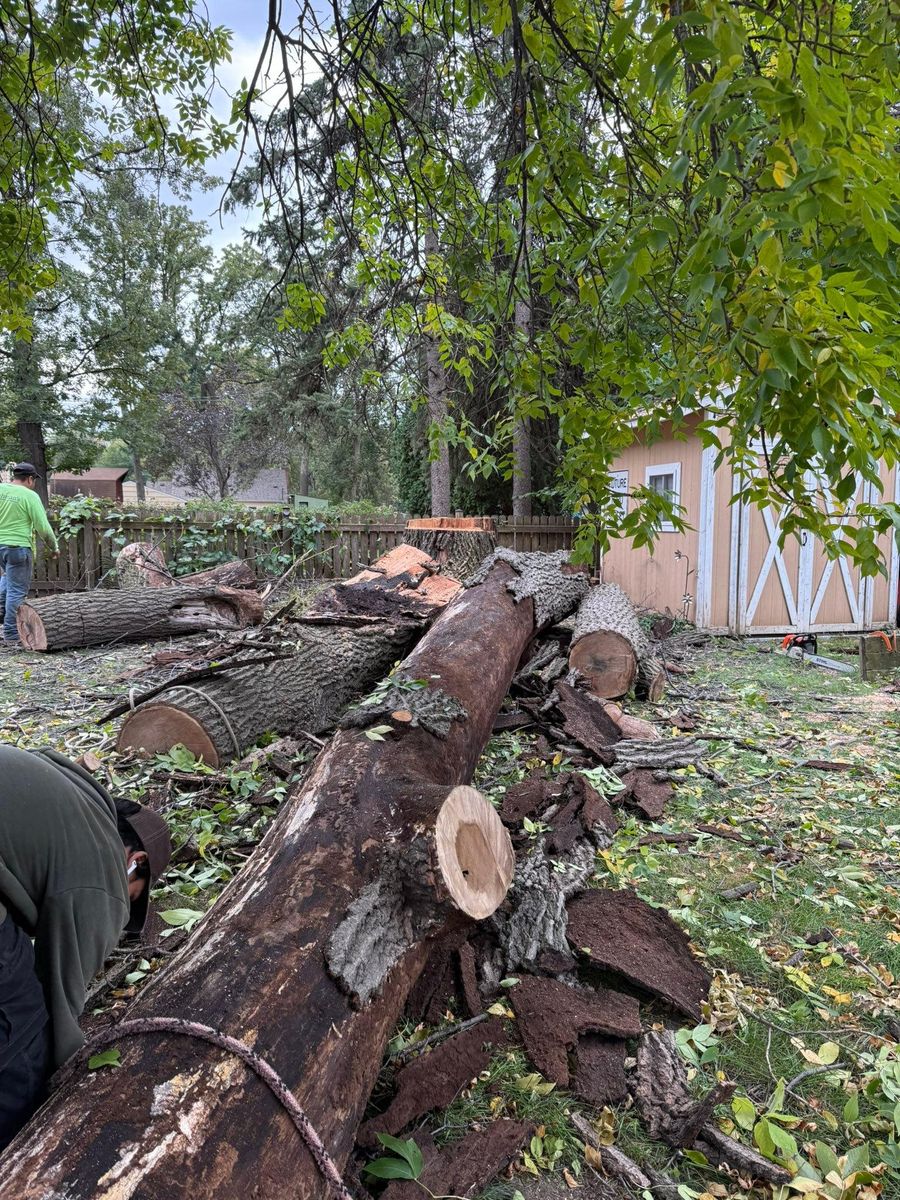 Seasonal Clean Up for Titan Landscaping in Rosemount, MN