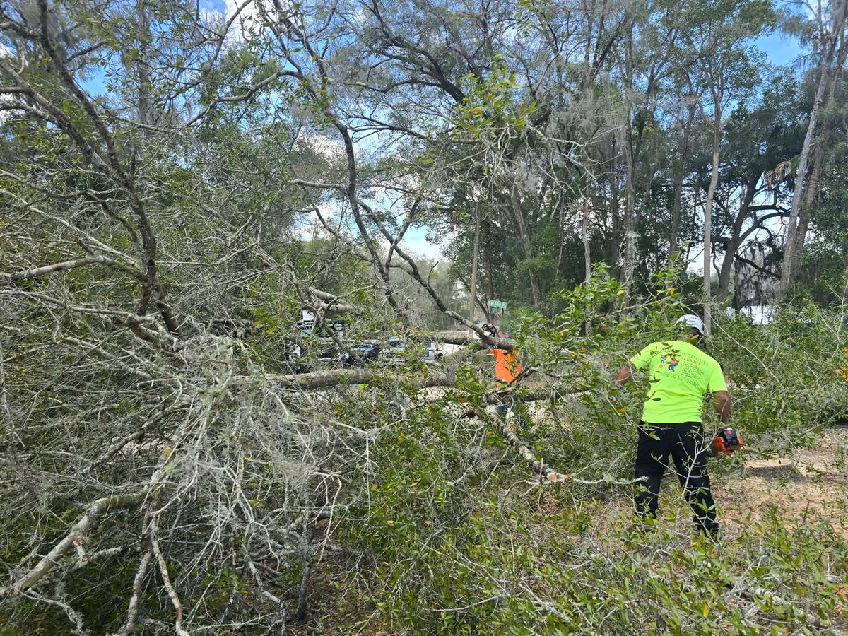 Emergency Storm Services for All Around Guys Tree Service in Ocala, FL