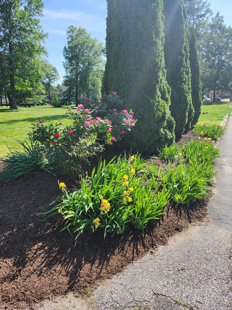 Mulch Installation for Landscape Innovations LLC in Torrington, CT