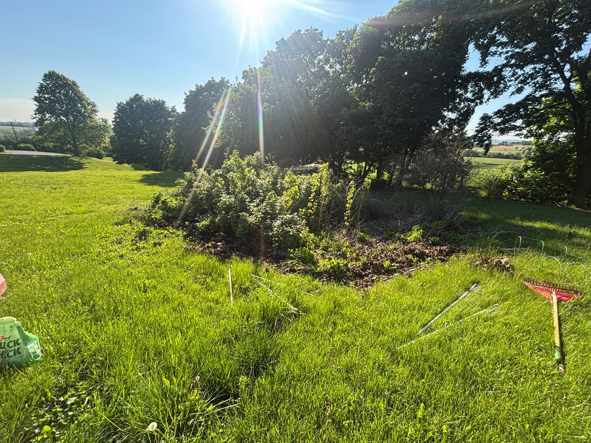 Garden Maintenance for Backyard Acres Lawncare LLC in Chambersburg, PA