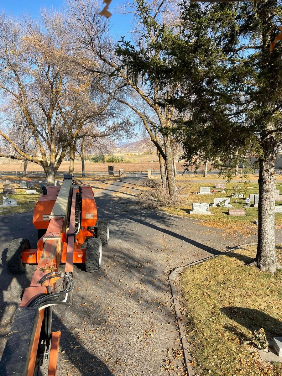 Tree Removal for FTC Solutions LLC in Preston, ID