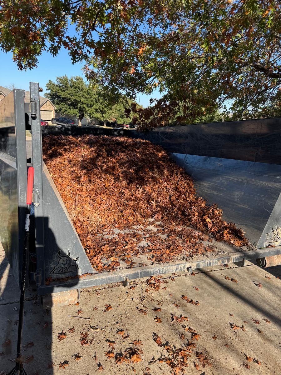 Brush removal/organic dumpsters for Marek Land Services in  Austin,  Texas