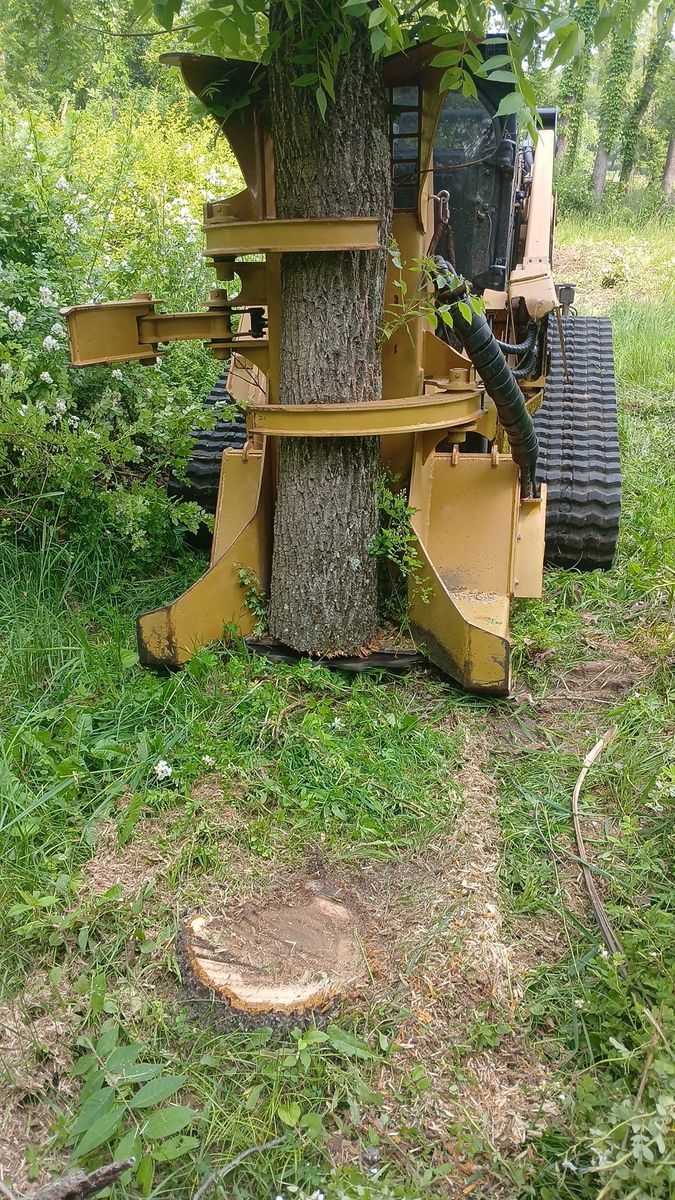 Stump Grinding for Willing Trucking & Excavating in Evansville, WI