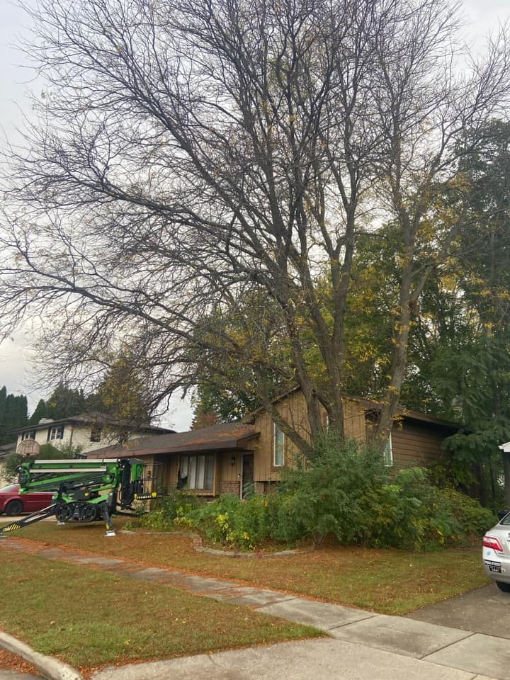 Tree Trimming for Tree-B-Gone in Appleton, WI