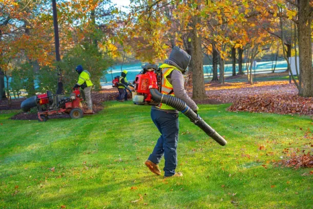 Leaf cleanup for Santomaro's Signature Lawn & Landscapes in North Providence, RI
