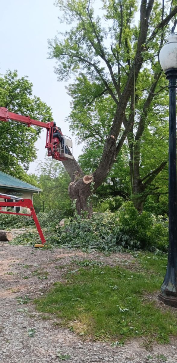 Tree Trimming for Lawn Ranger Yard And Tree Service LLC in Ottumwa, IA