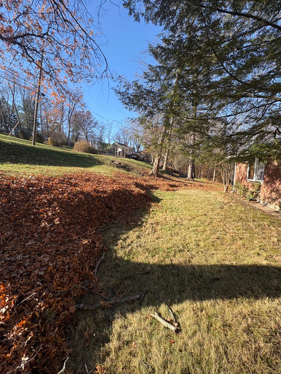 Tree Trimming for Cam Yardz in Washington, PA